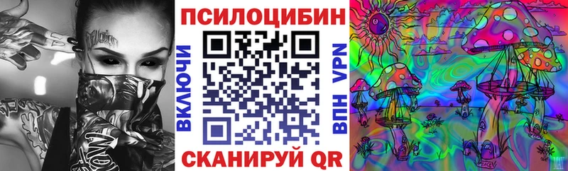 Псилоцибиновые грибы Magic Shrooms  Заводоуковск 