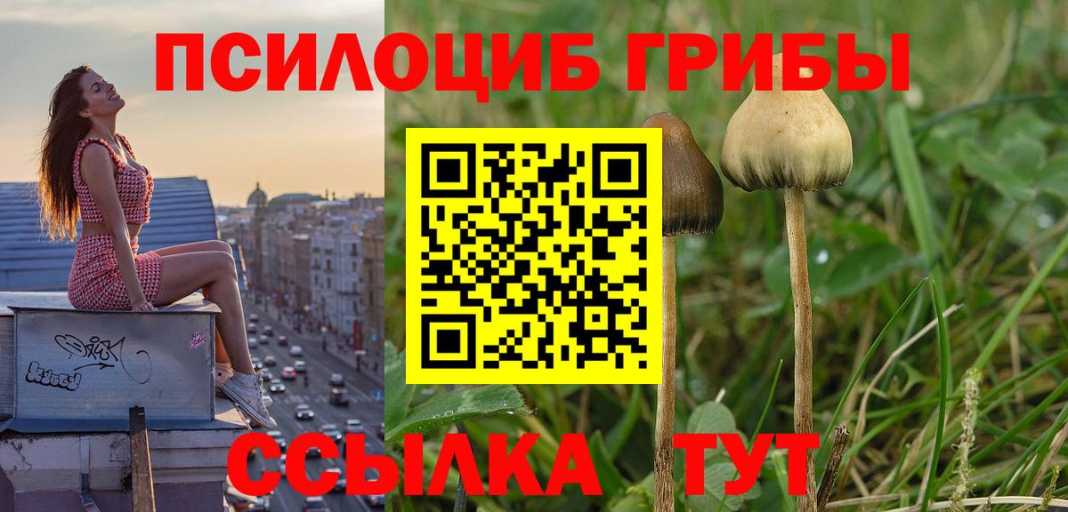 Заводоуковск  Галлюциногенные грибы Magic Shrooms  Вход с VPN 