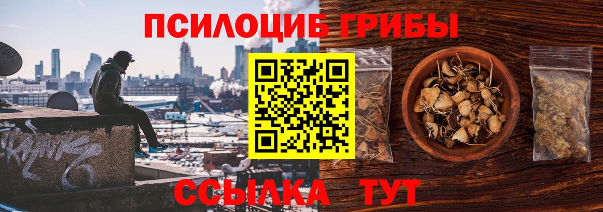 Псилоцибиновые грибы мицелий Заводоуковск