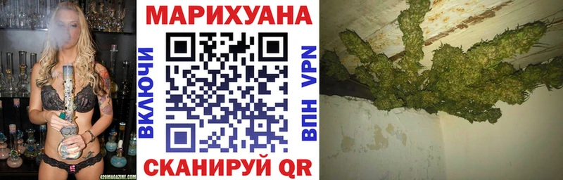 Каннабис планчик  хочу   Заводоуковск 